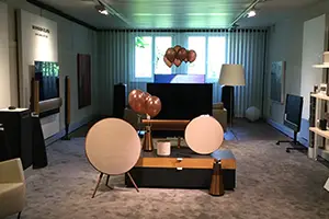 Expert Allemann 2019