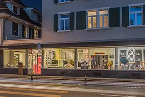 Expert Allemann 2016