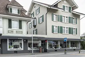 Expert Allemann 2016