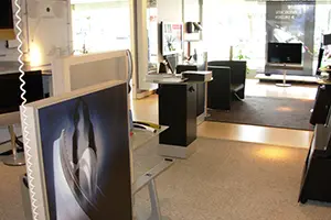 Expert Allemann 2009